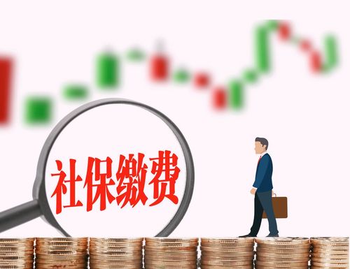 如何查詢公司養(yǎng)老保險繳費檔次 60%、100%還是300%？