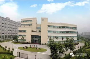 醫(yī)藥科技領(lǐng)域獲機(jī)構(gòu)重點(diǎn)關(guān)注個(gè)股解析 創(chuàng)新驅(qū)動(dòng)下的投資新機(jī)遇